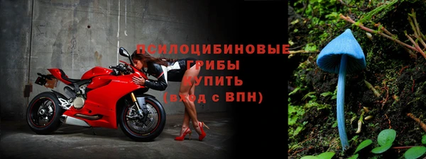 круглые Нягань